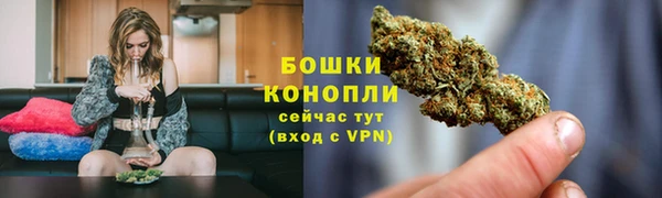 ECSTASY Богородицк